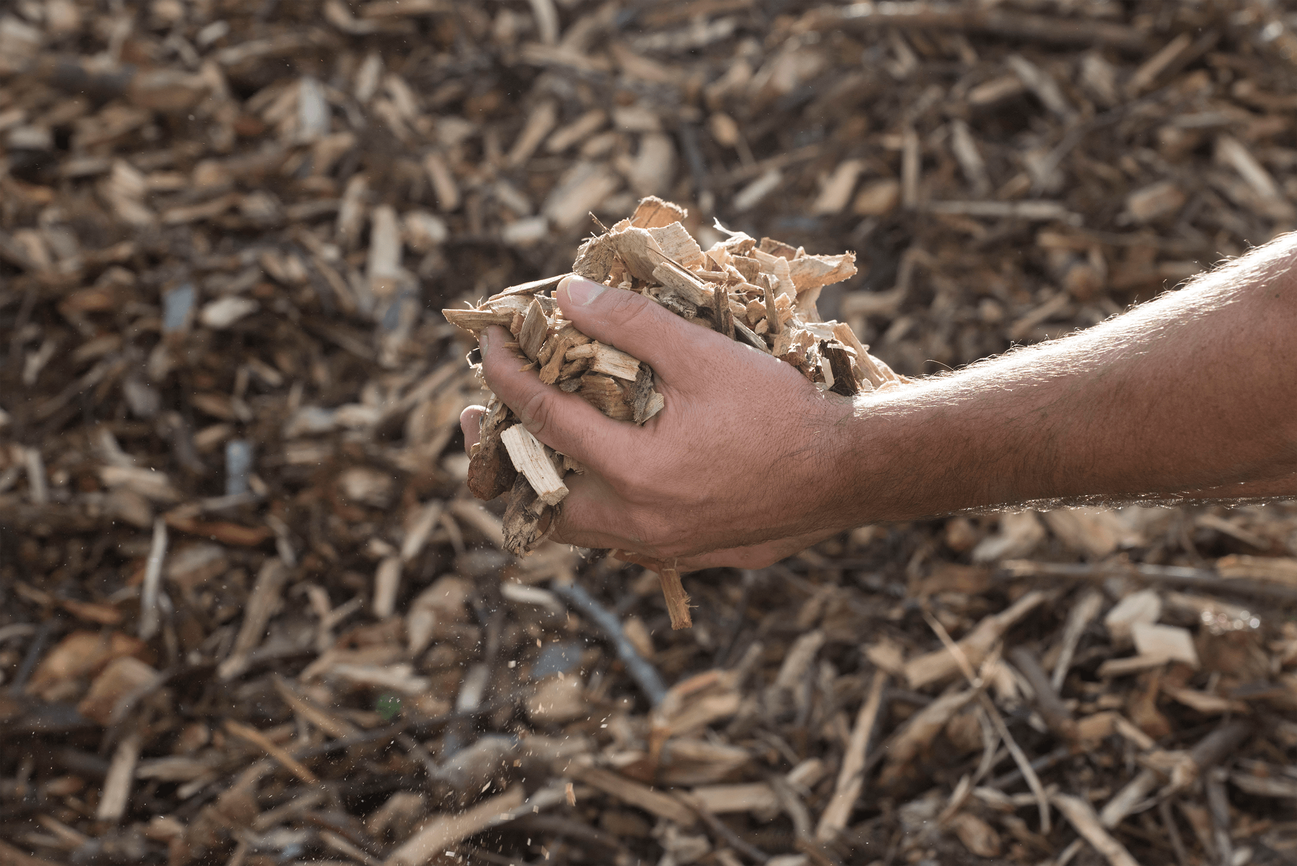 123rf/163108953_xl_normal_none-min